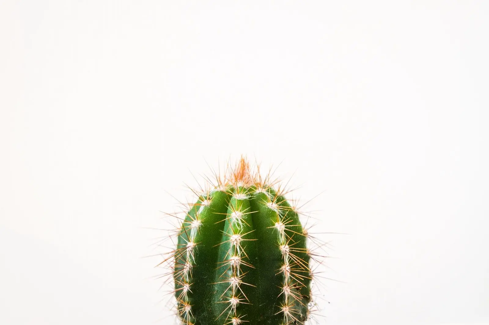 Acupuncture for Hormones: Does It Boost Fertility & Fix Imbalances?