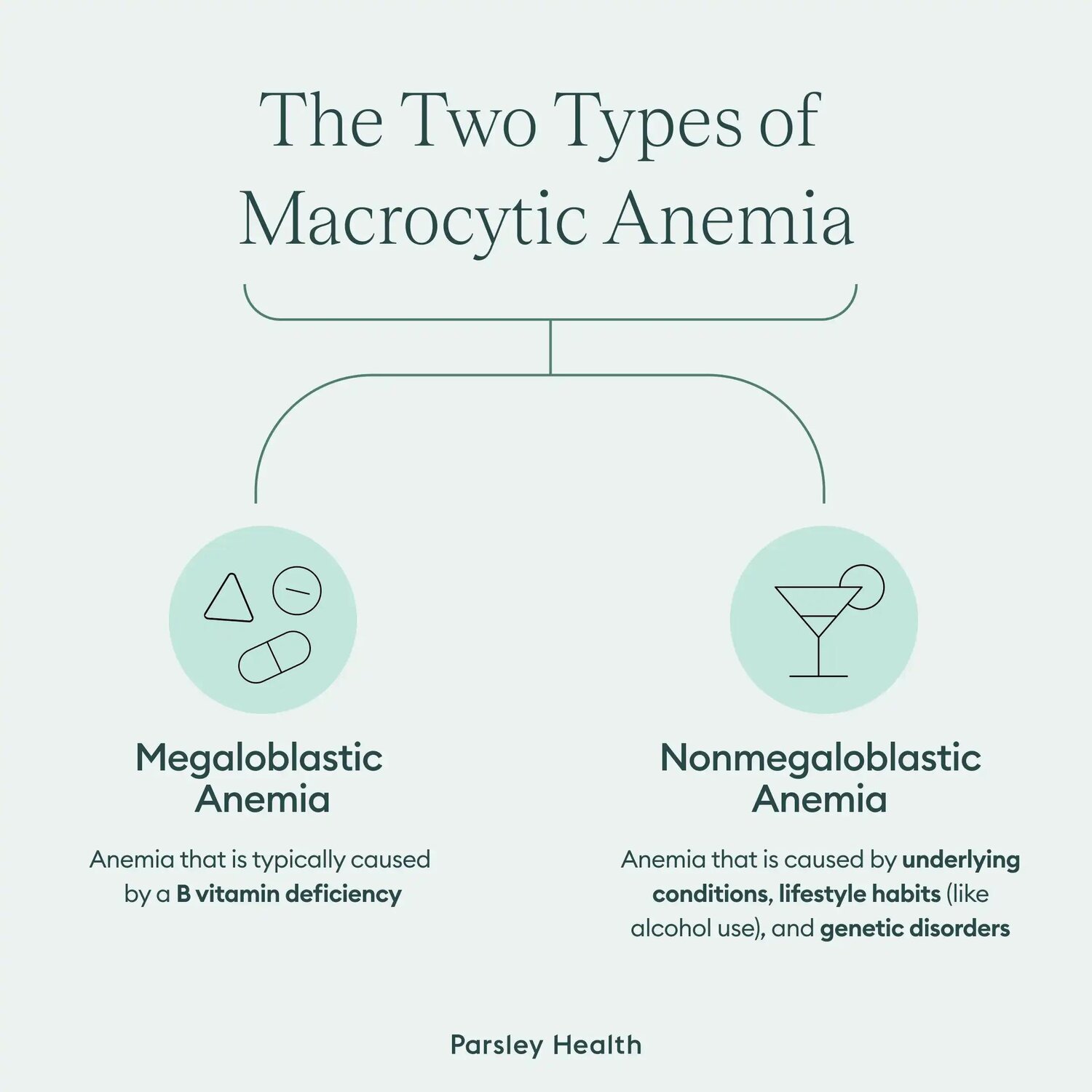 two types of macrocytic anemia - megaloblastic and nonmegaloblastic