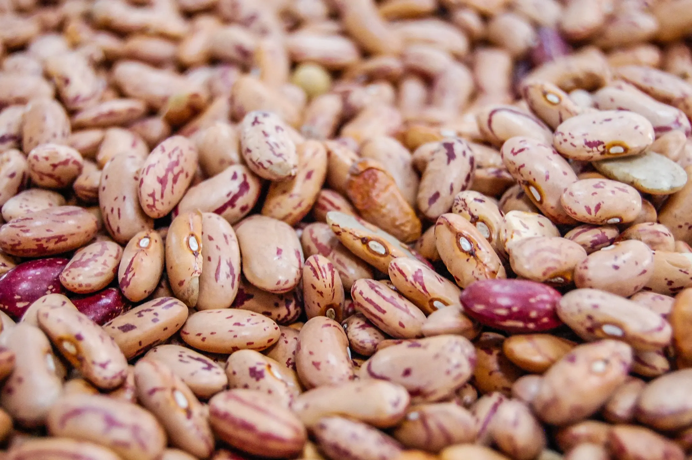 Lectins, Phytates, and Oxalates: What Are Antinutrients?
