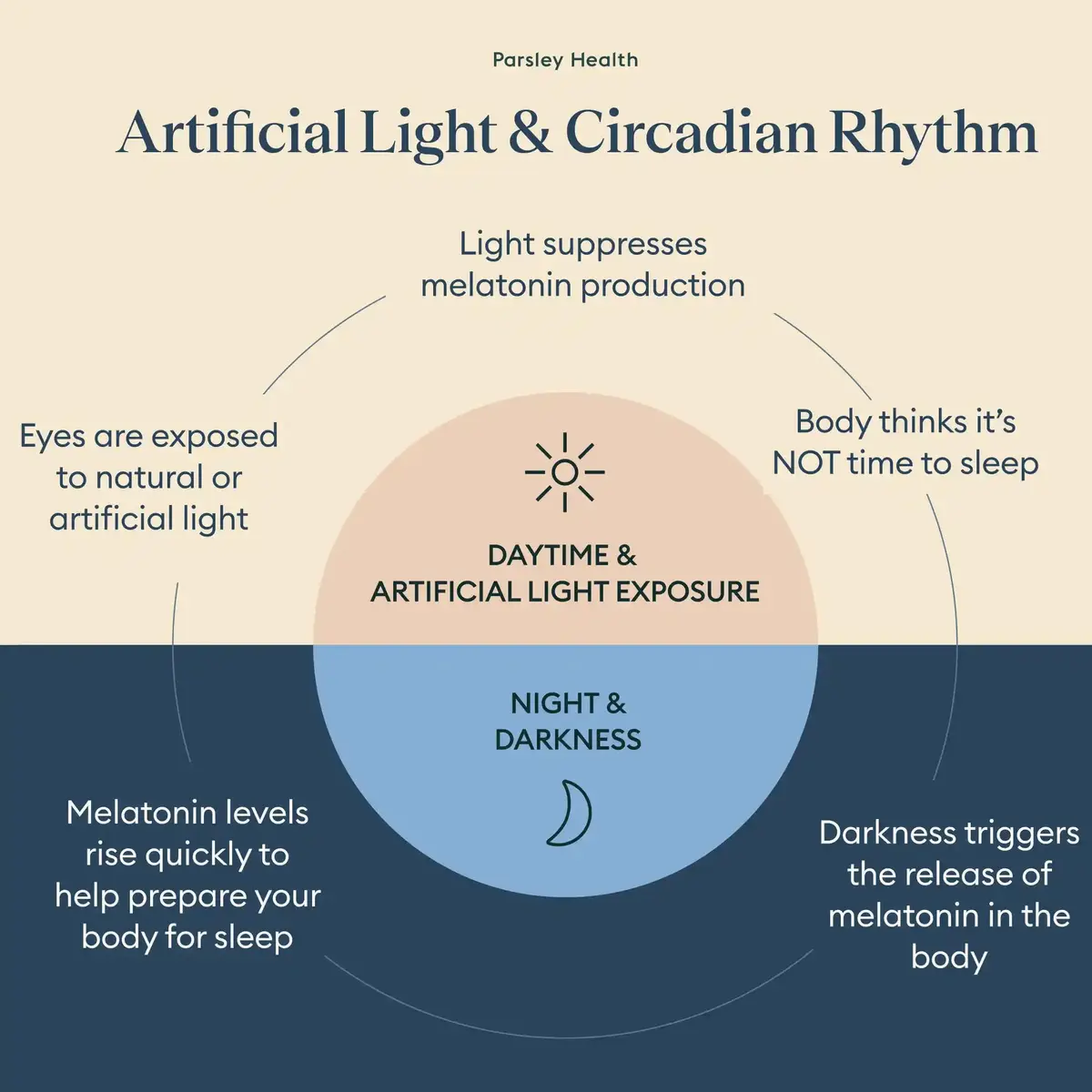 how artificial light affect circadian rhythm