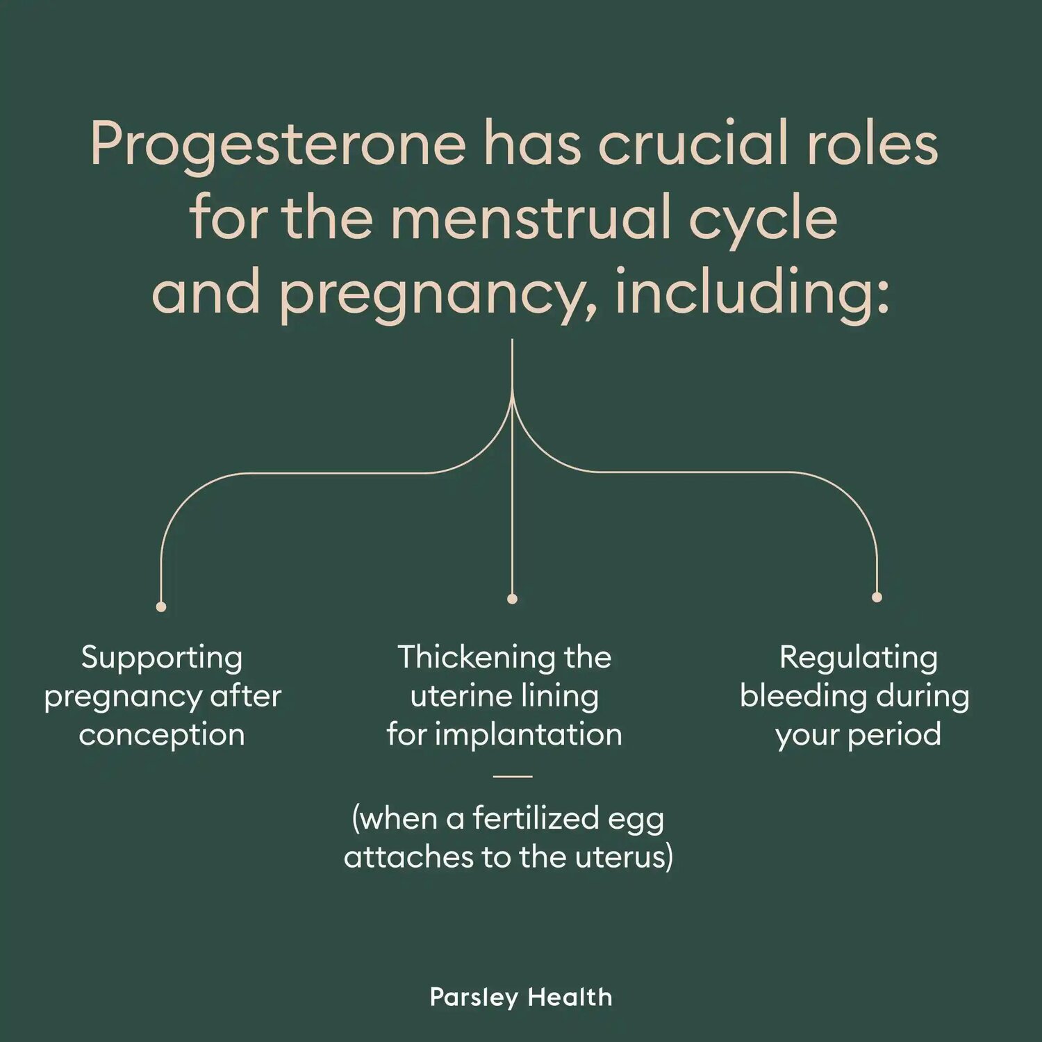 progesterone roles for menstrual cycle and pregnancy