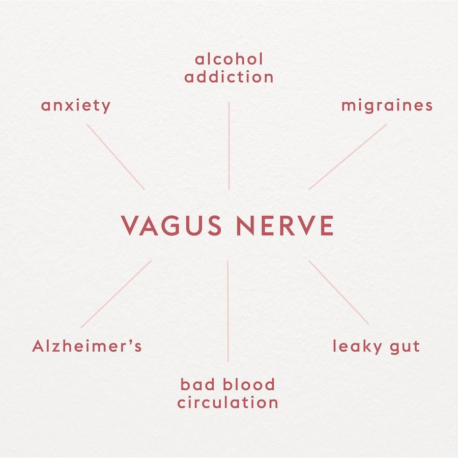 vagus nerve
