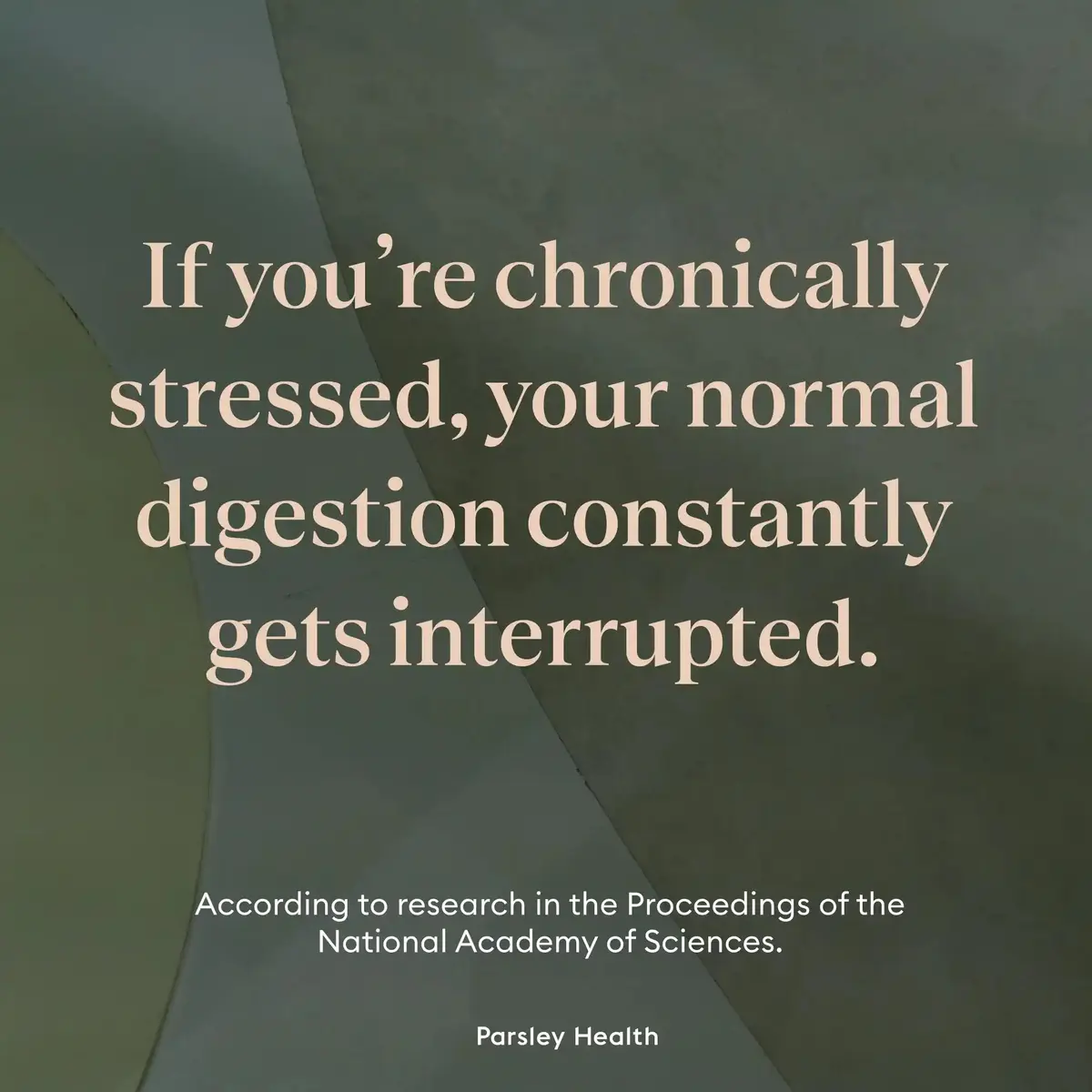 chronic stress constantly interrupts digestion