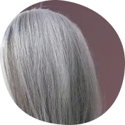 Closeup of long, flowing gray hair