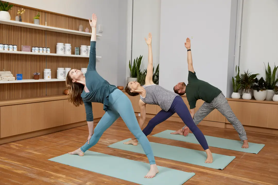 doctor in session with patient