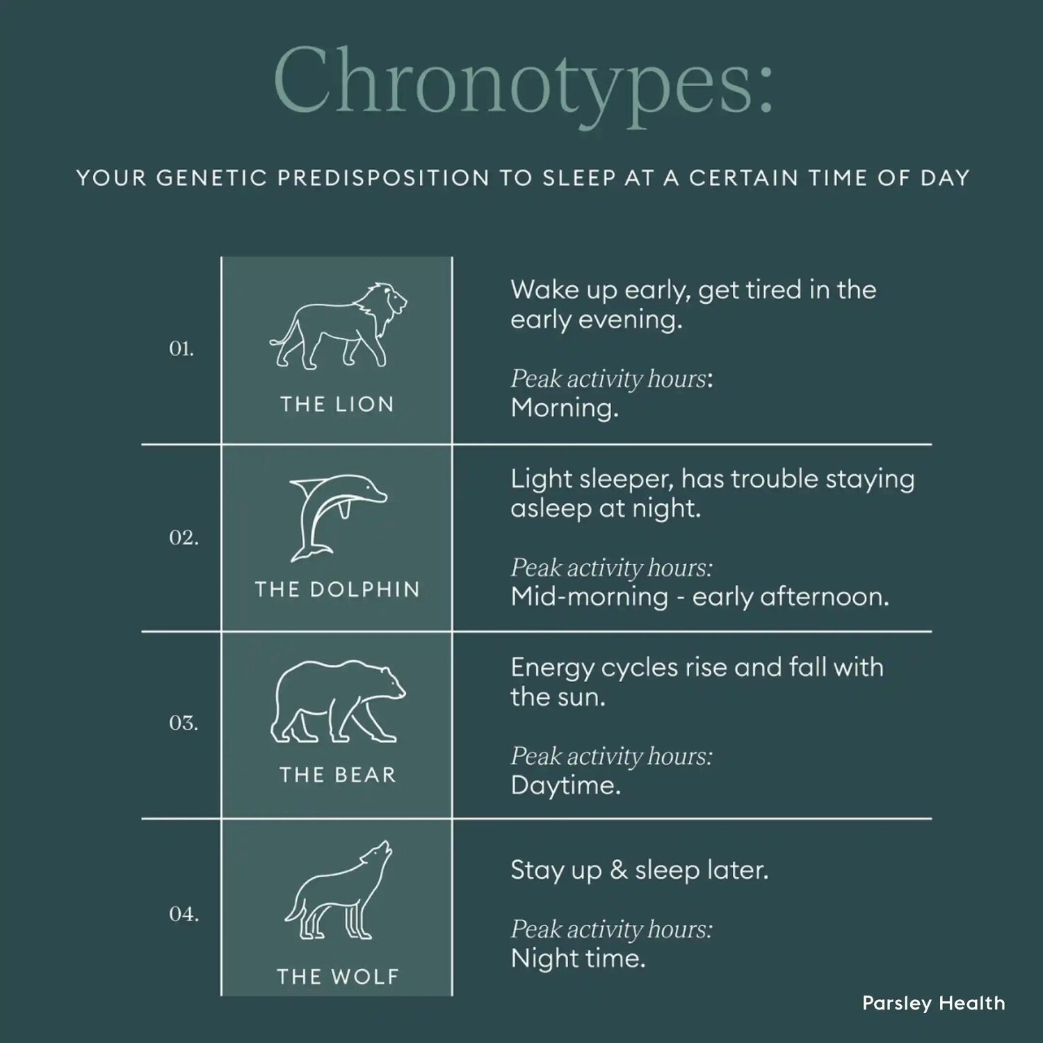 sleep chronotypes