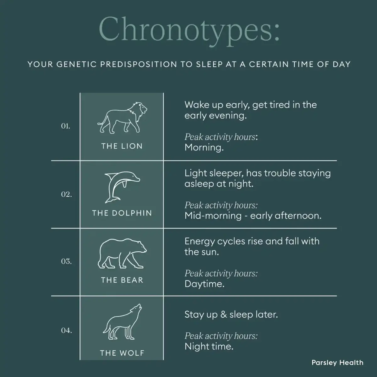 sleep chronotypes
