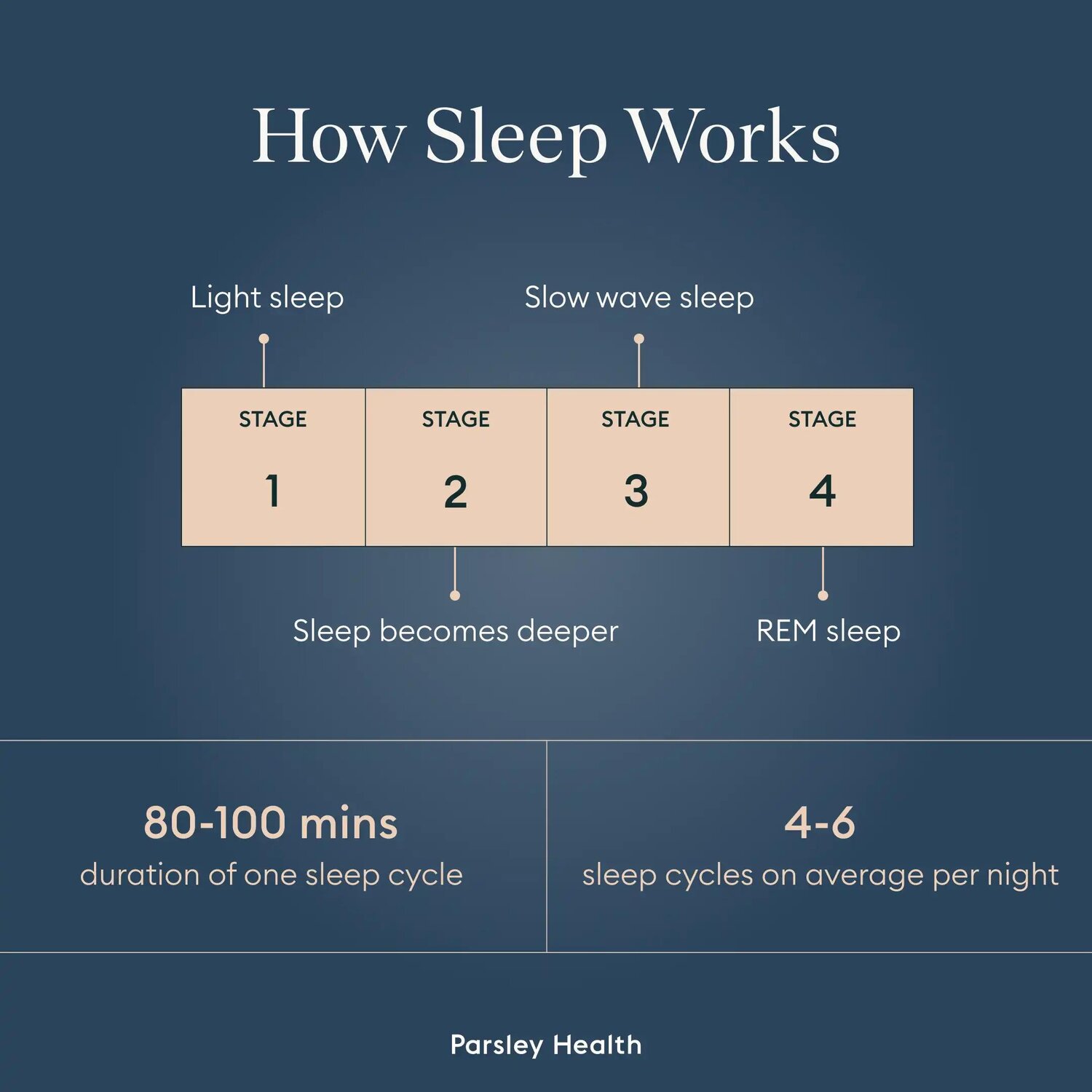 How Sleep Works