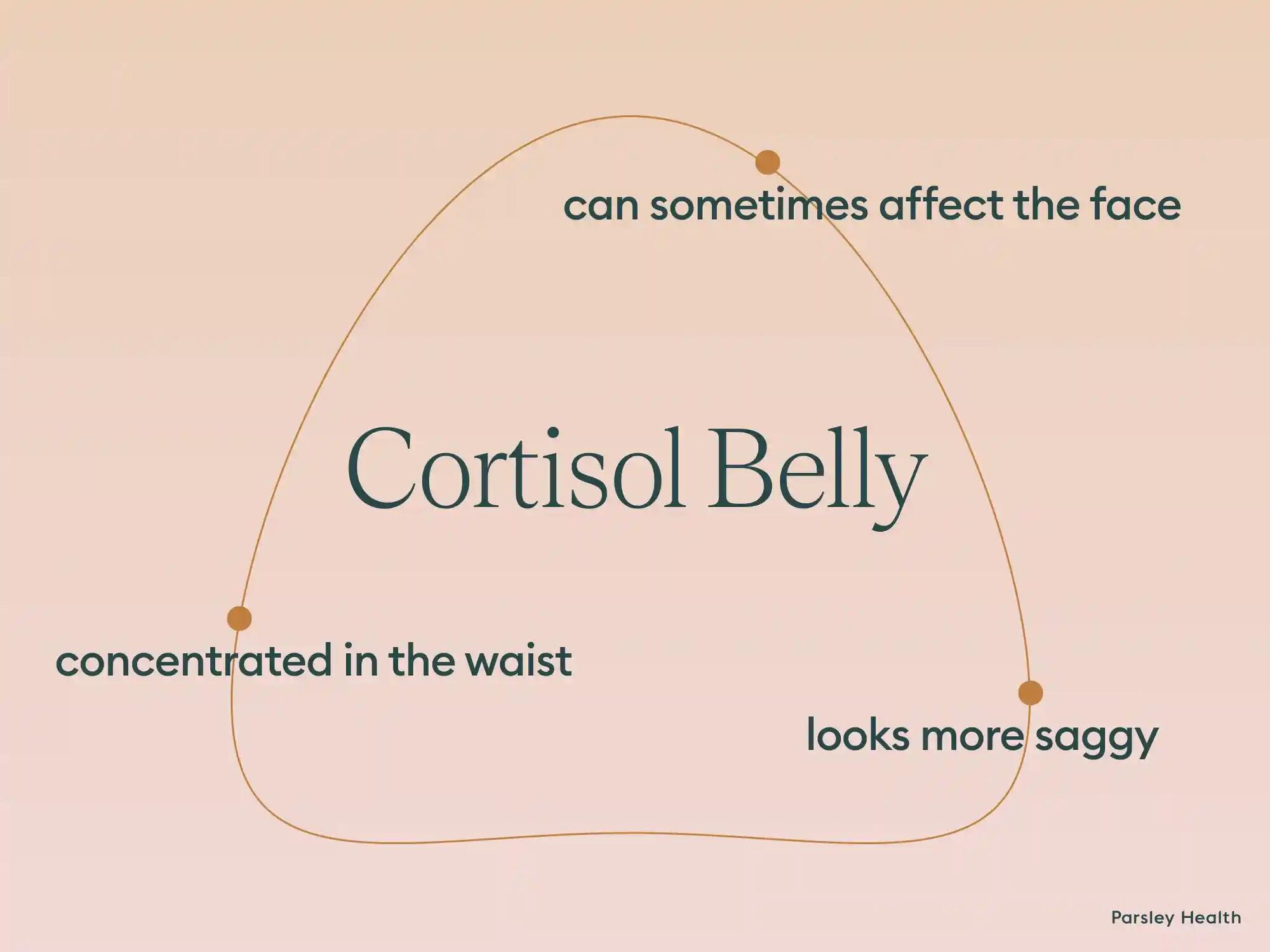 cortisol belly