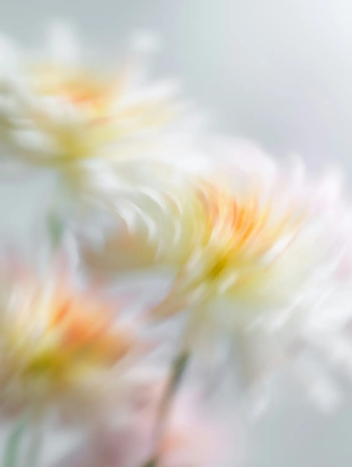 Abstract flowers swaying