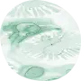 Conditions icon