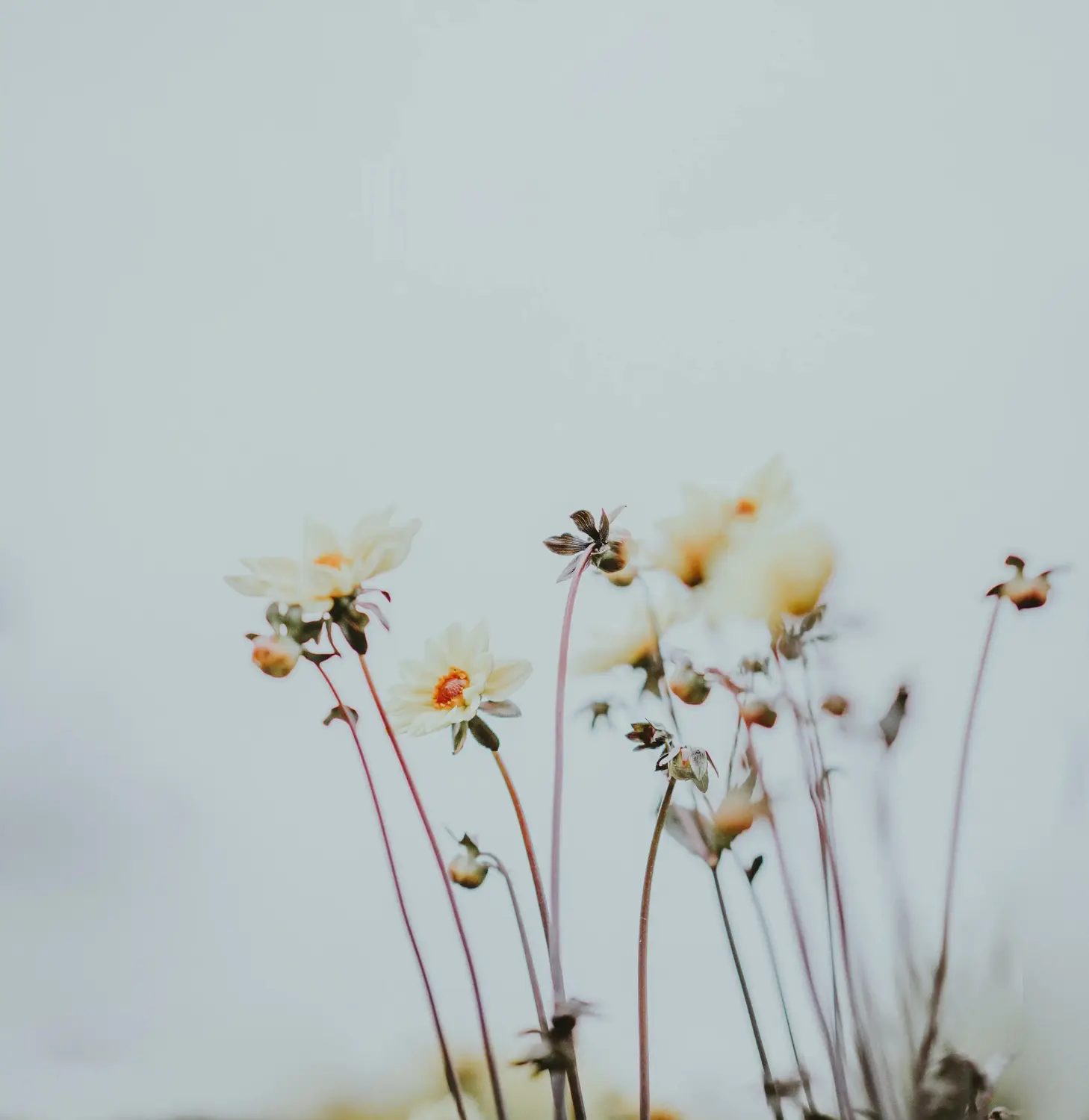What Happens To Your Body and Hormones After Miscarriage?