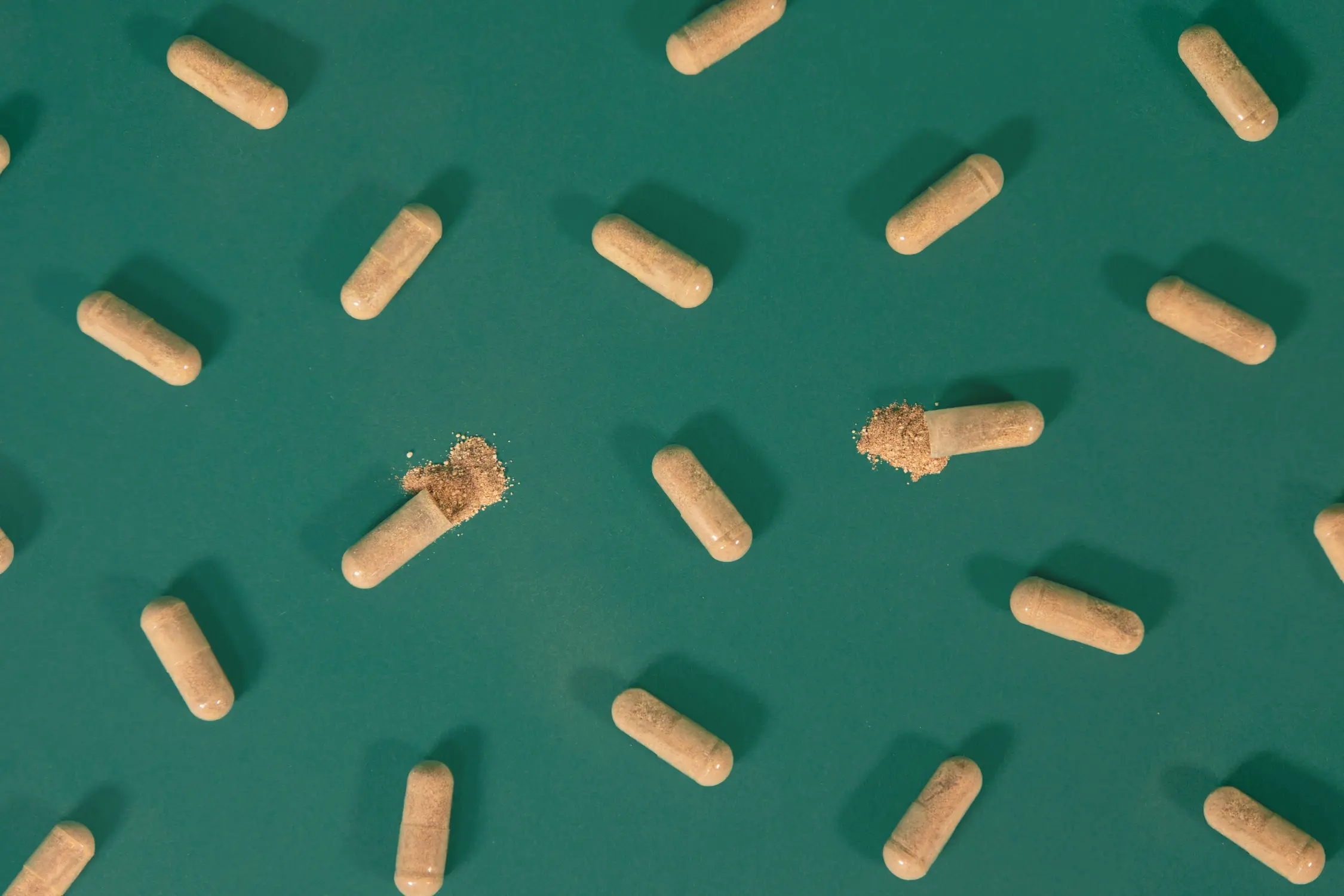 Your Guide to Probiotics And Exactly When to Take Them