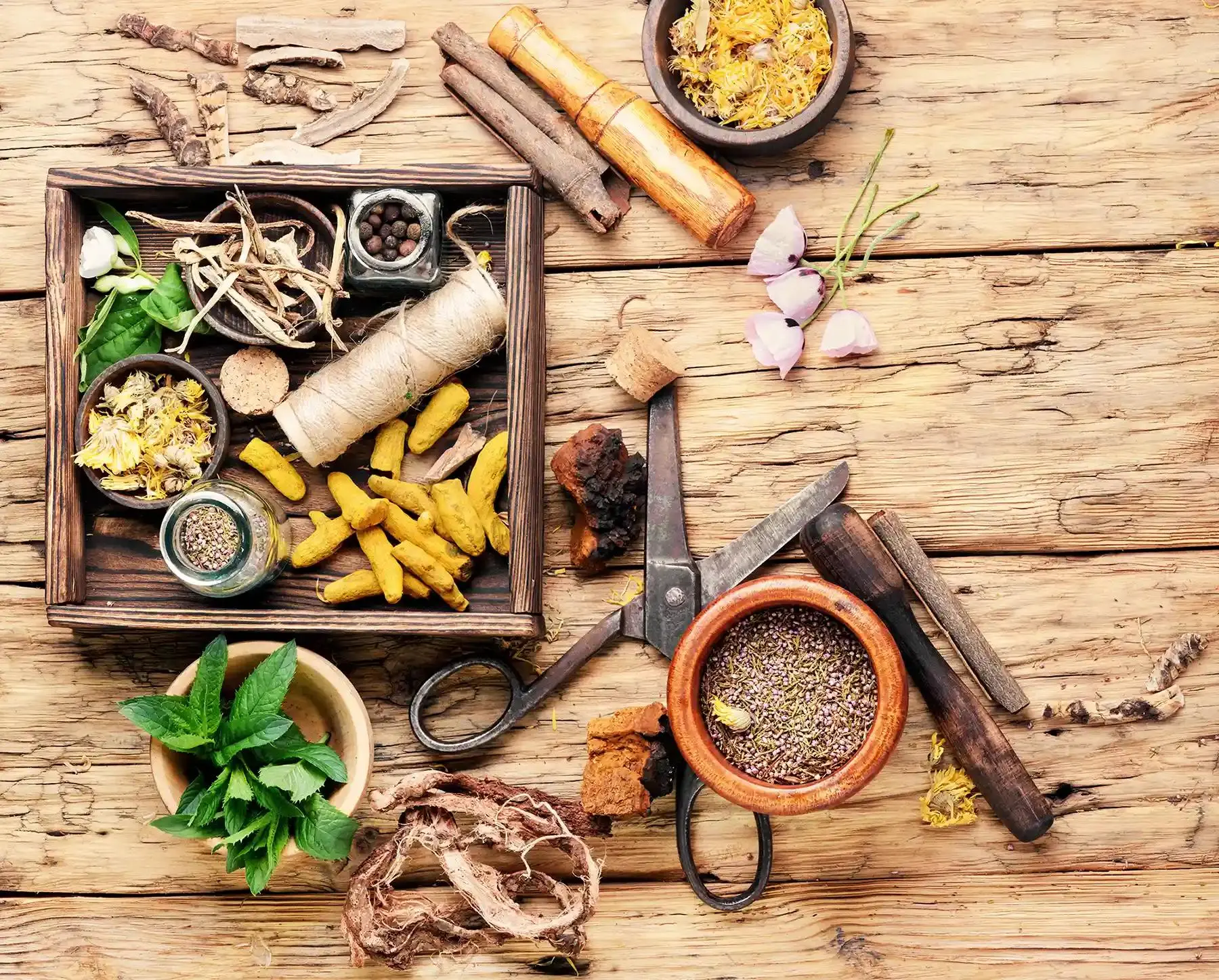 herbs