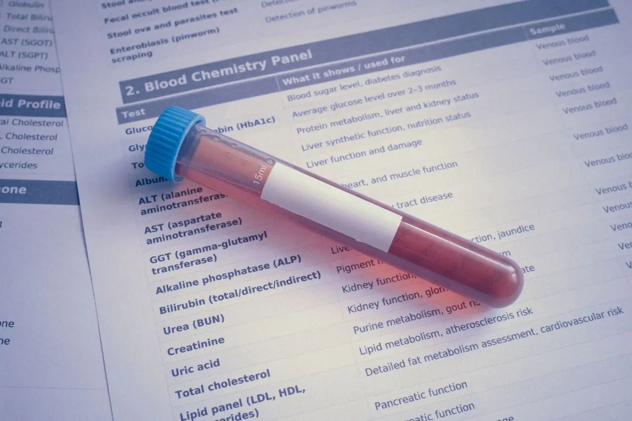 Reading Your Neutrophil Count: The Immune System’s First Responders