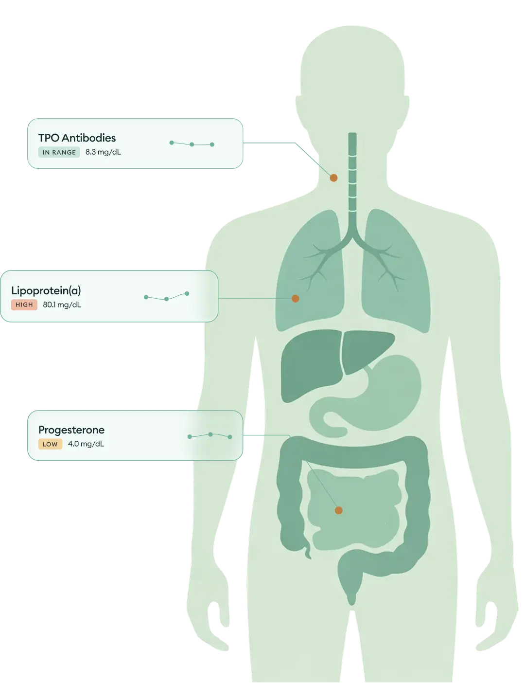 What We Test with Advanced Lab Panel